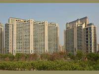 5BHK Apartment in DLF The Magnolias