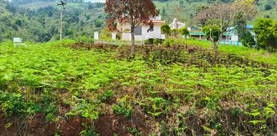 Residential Land for sale in Ketti, Ooty