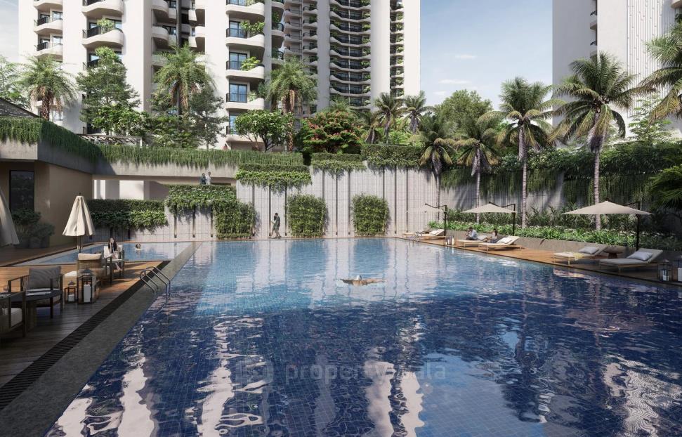 Project - Swimming Pool