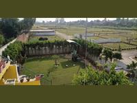 Residential Plot / Land for sale in Tappal, Aligarh