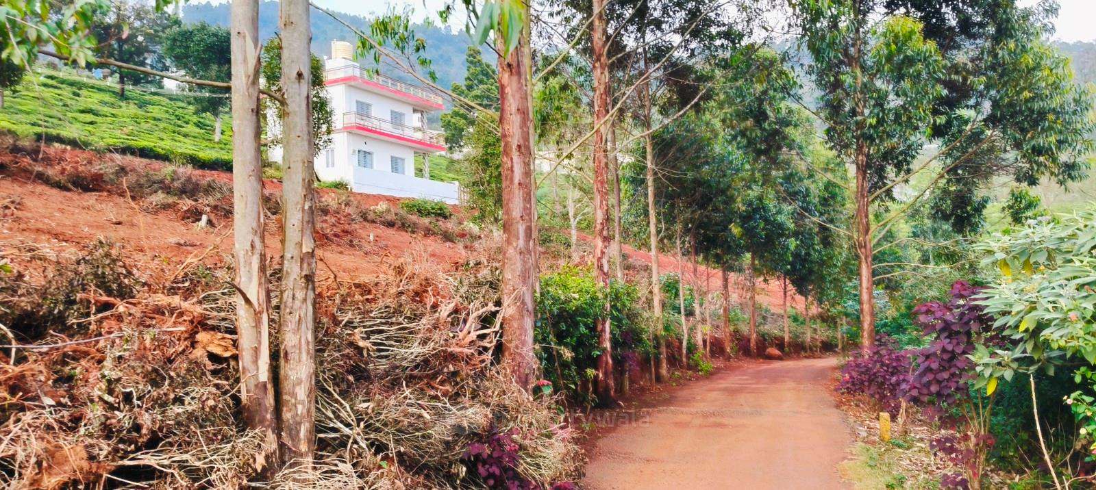 plot view