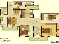 Floor Plan-5