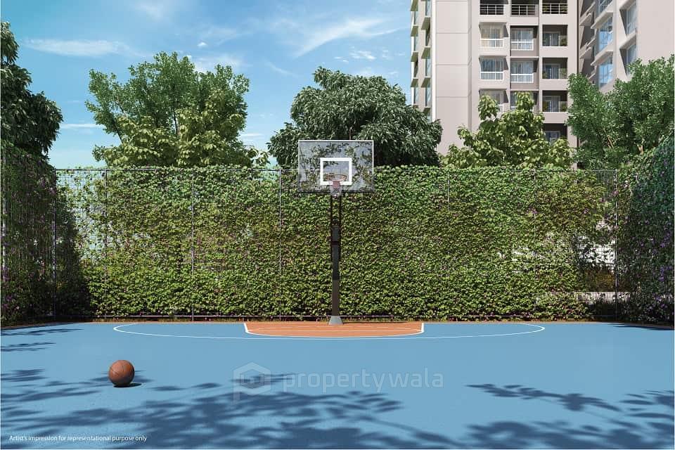 BASKET BALL COURT