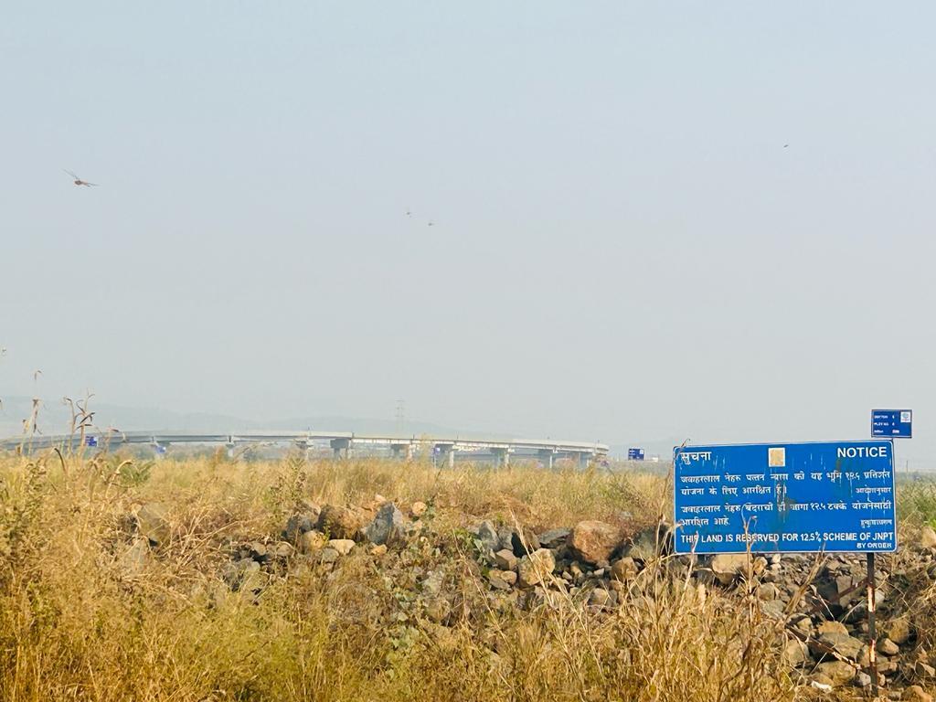 PLOT VIEW
