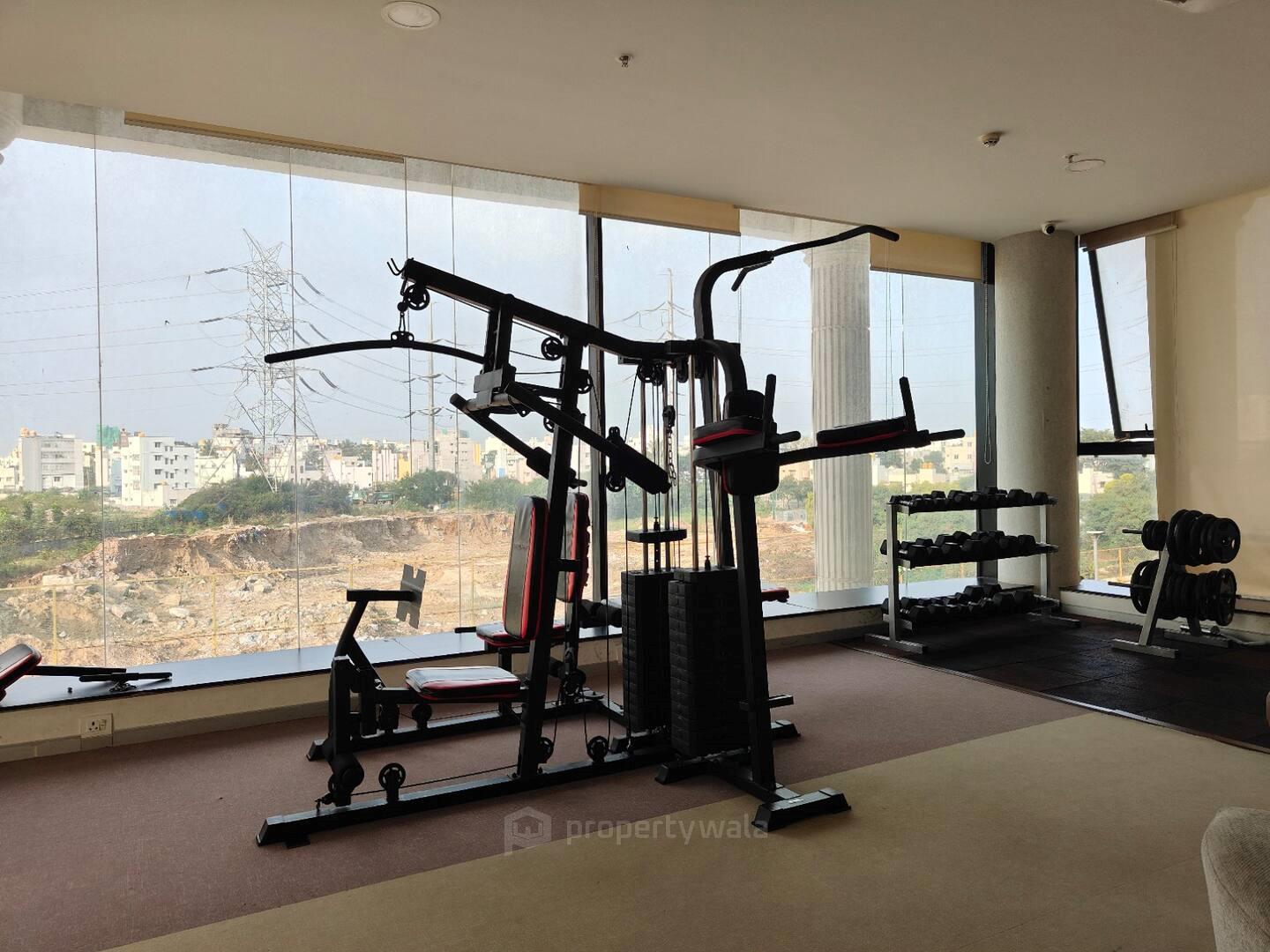 Gymnasium