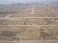 Residential Plot / Land for sale in Sector 78, Faridabad