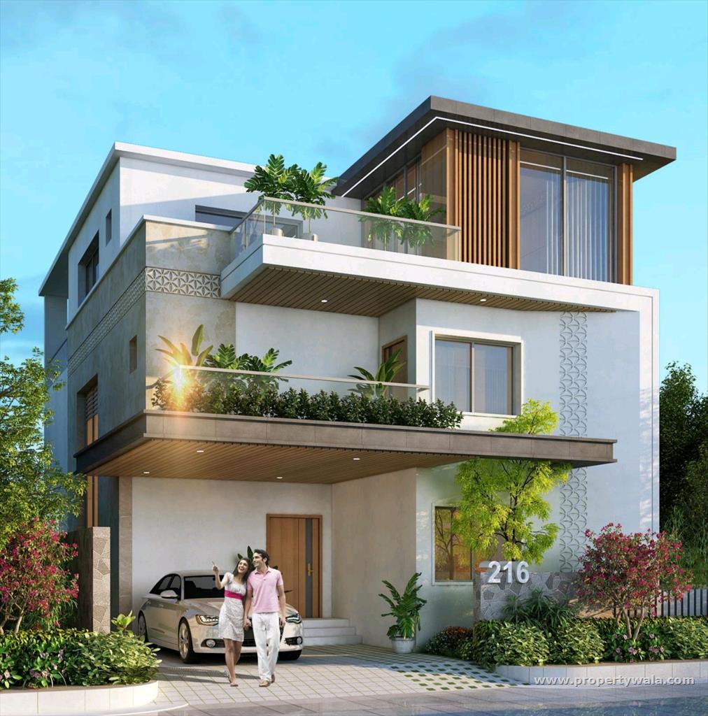 Elevation