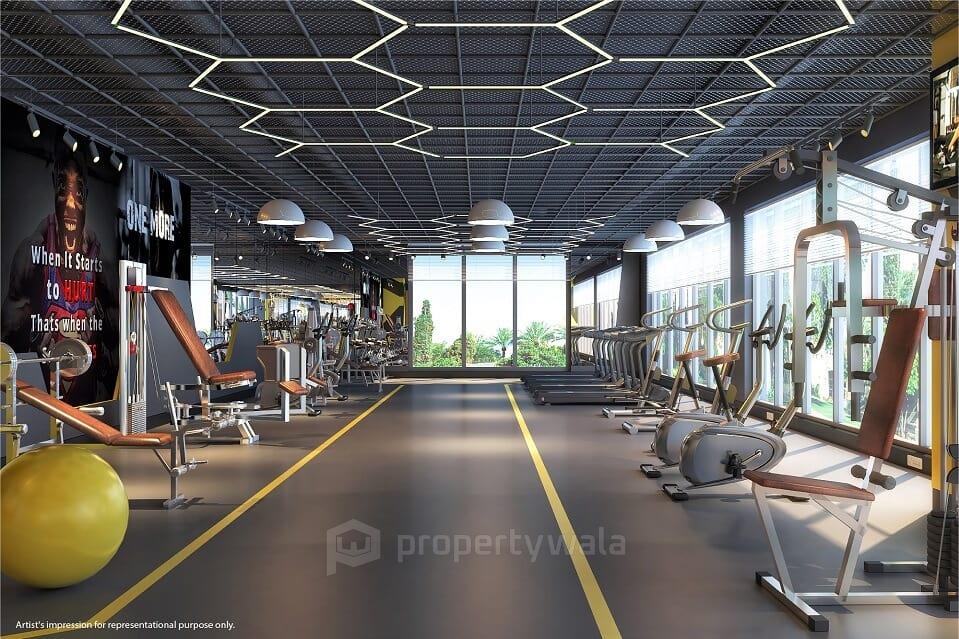 Gymnasium