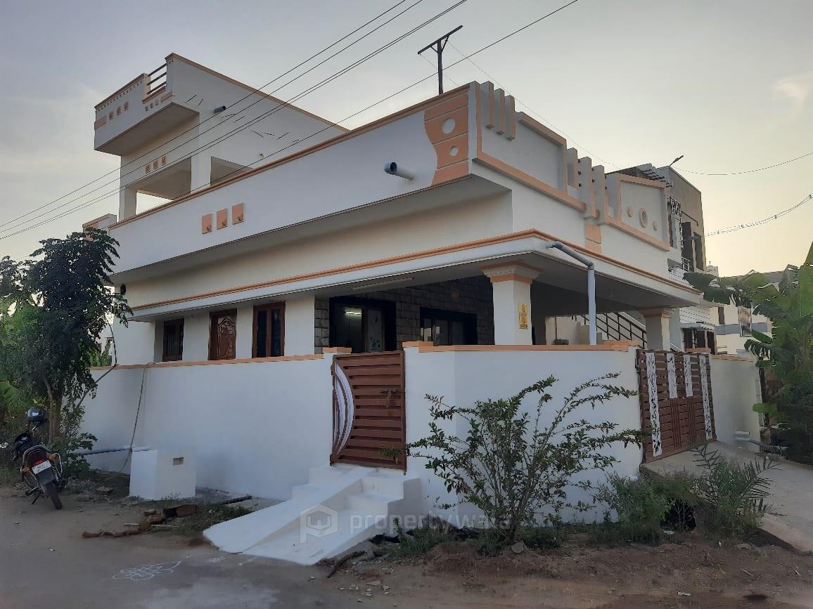 Front View