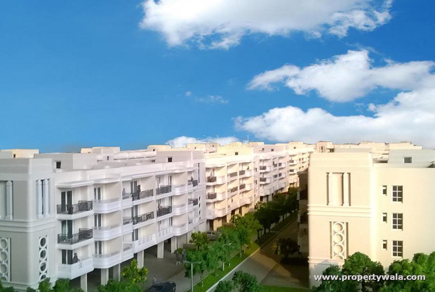 3 Bedroom Apartment / Flat for sale in DLF Privana, Sector-77, Gurgaon
