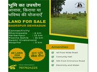 Residential Plot / Land for sale in Badripur, Dehradun