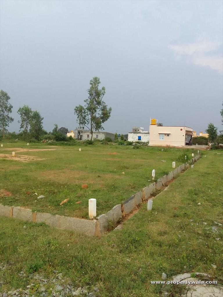 Project - Front View