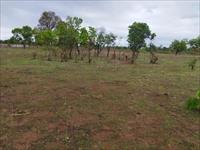 19kms from Mangaon bus depot-15acres agriculture land for sale in just 9lakhs per acre