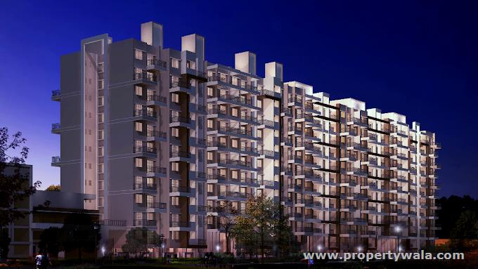 Night View