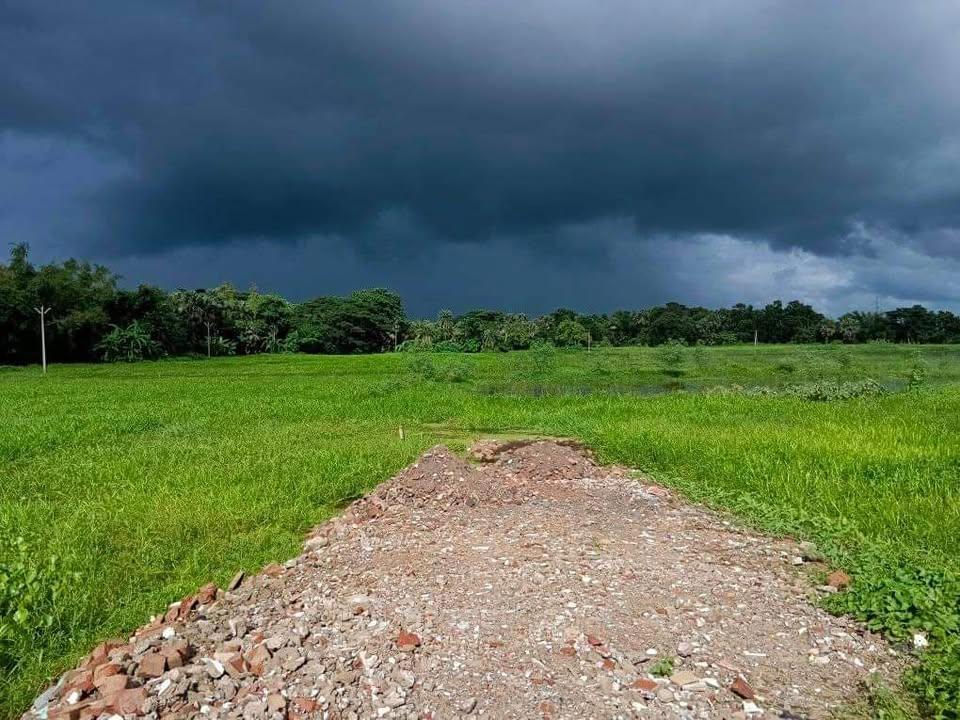 land