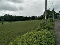 Land for sale