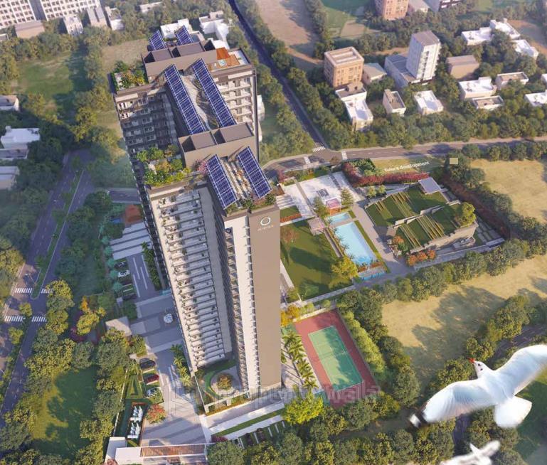 Project - Bird's Eyeview