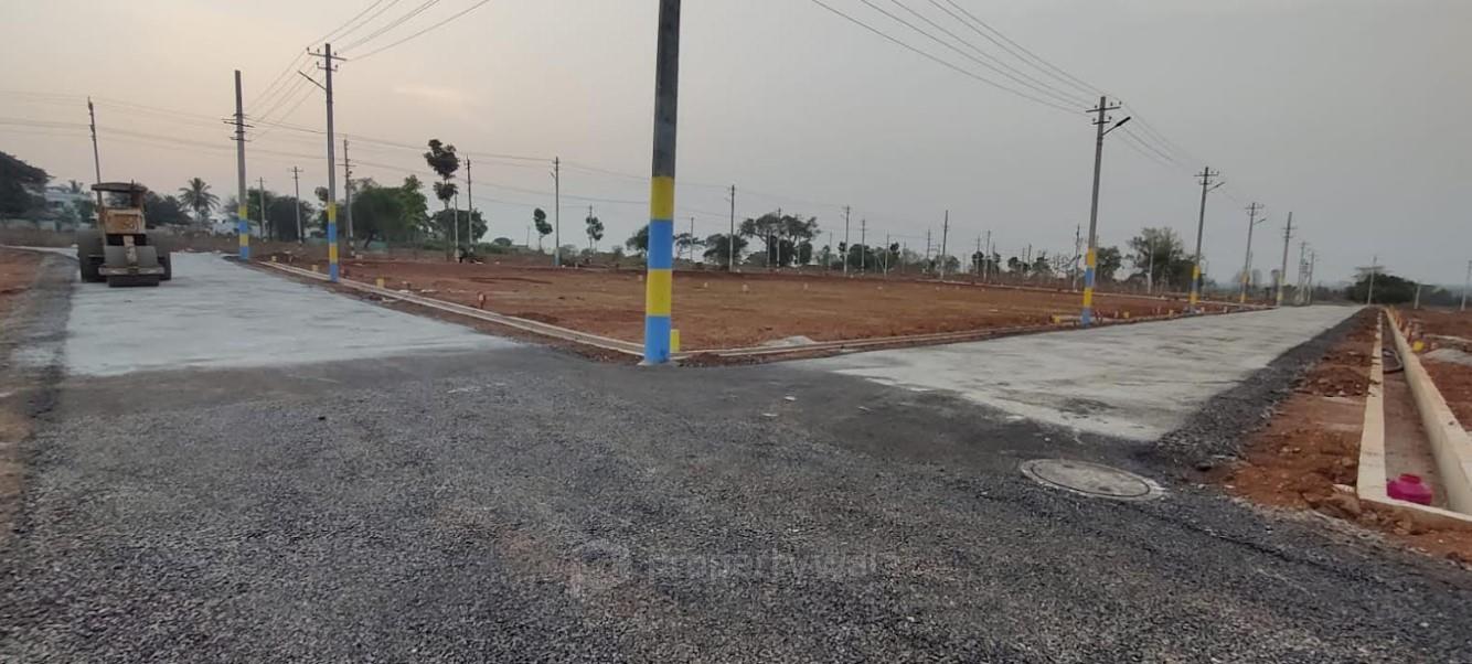 Road View