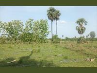 Agricultural Plot / Land for sale in GST Road area, Chennai