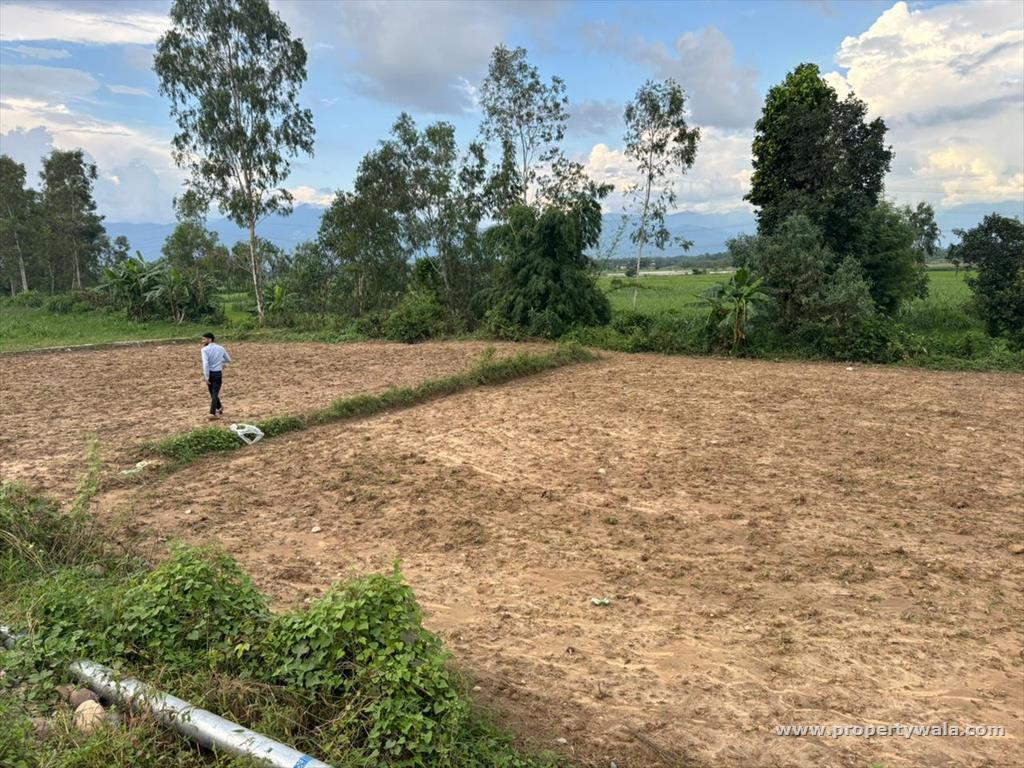 plot view