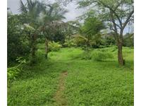 4 Acres Farm / Agricultural Land Available For Sale At Dahanu Road (E) 6 K.M. From Station