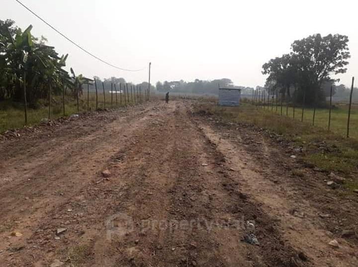 site