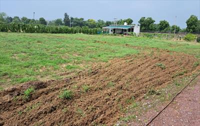 Farm House for sale in Sohna Road area, Gurgaon