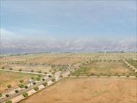 Land for sale in Dara Pride, Sector 115, Mohali