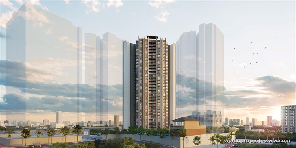 Project - Elevation