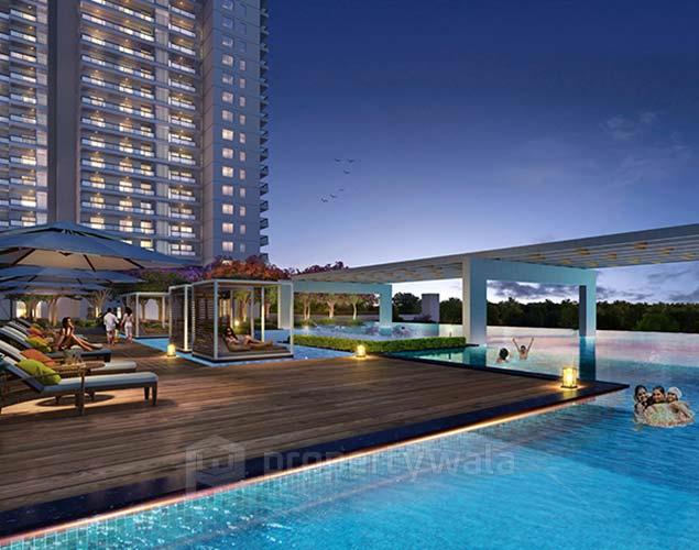 Project - Swimming Pool