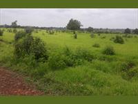 8L/ACER-100ACRES AGRICULTURE LAND FOR SALE IN MANGAON LOCATION-RAIGAD DISTRICT