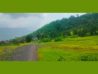 Agricultural Plot / Land for rent in Murbad, Thane