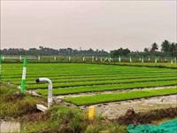 Agricultural Plot / Land for sale in ECR Road area, Chennai