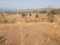 Agricultural Plot at Shllim