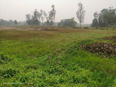 Residential Land for sale in Joka, Kolkata