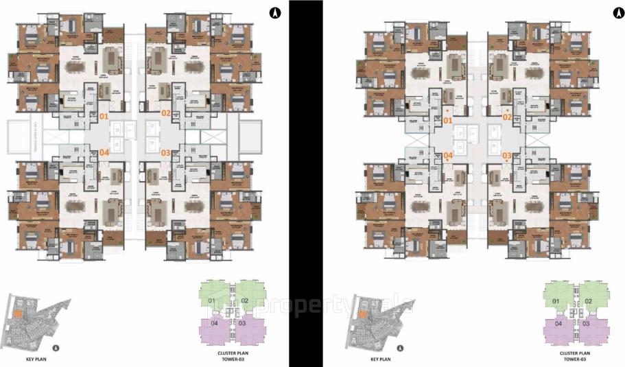 Floor Plan-D