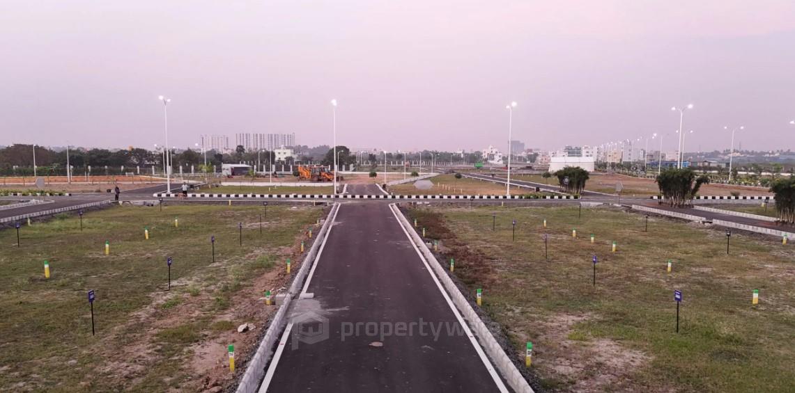 Road View