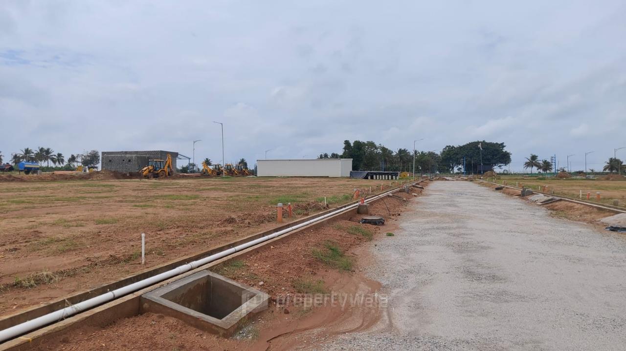 Project - Aerial View