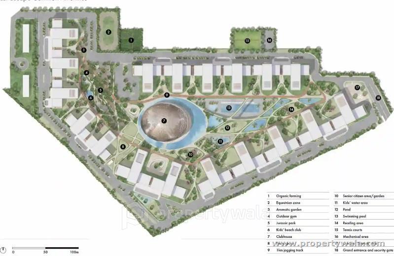 Site Plan