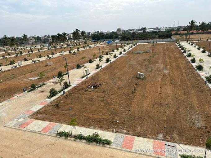 Project - Aerial View