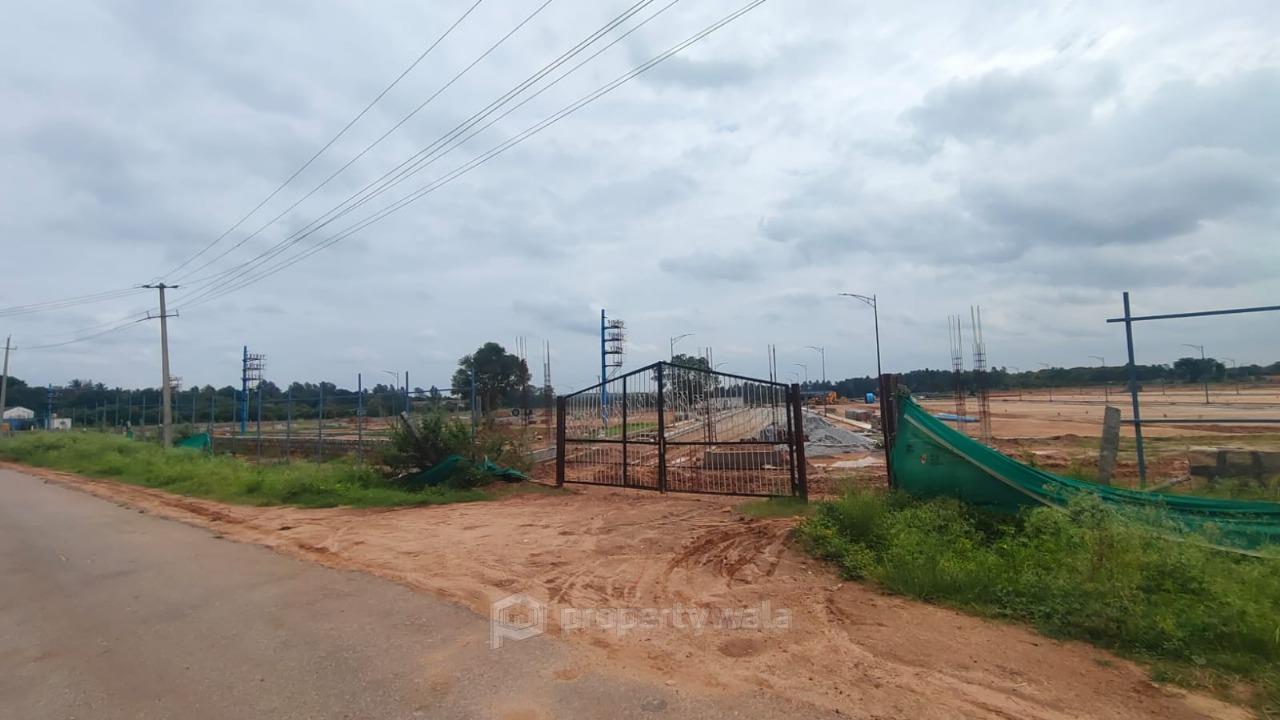 Project - Front View