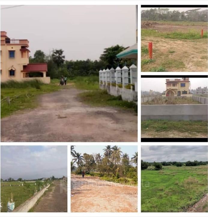 Collage Plot Pics