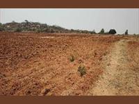 Agricultural Plot / Land for sale in Amangal, Mahbubnagar
