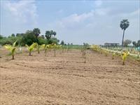 Agricultural Plot / Land for sale in Madurantakam, Chennai
