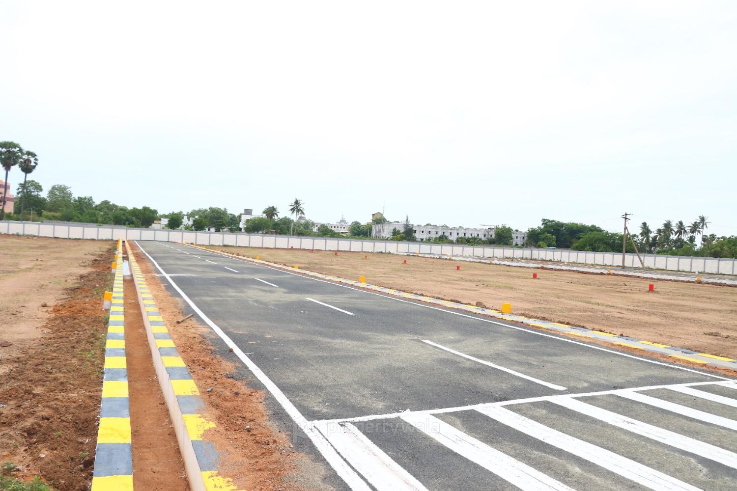 Tar road