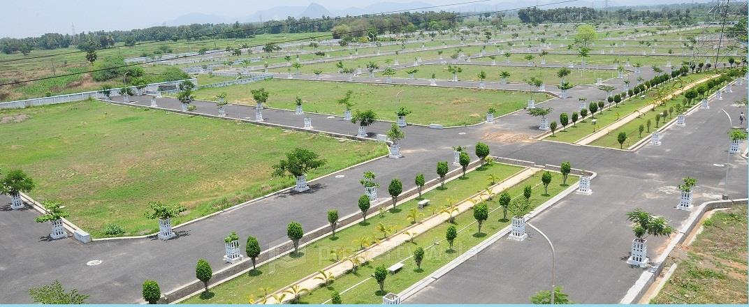Layout Photos