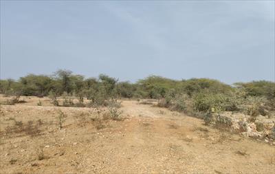 Residential Land for sale in Jagatpura, Jaipur