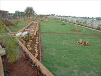 plot view