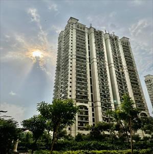 DLF Capital Greens - Moti Nagar, New Delhi