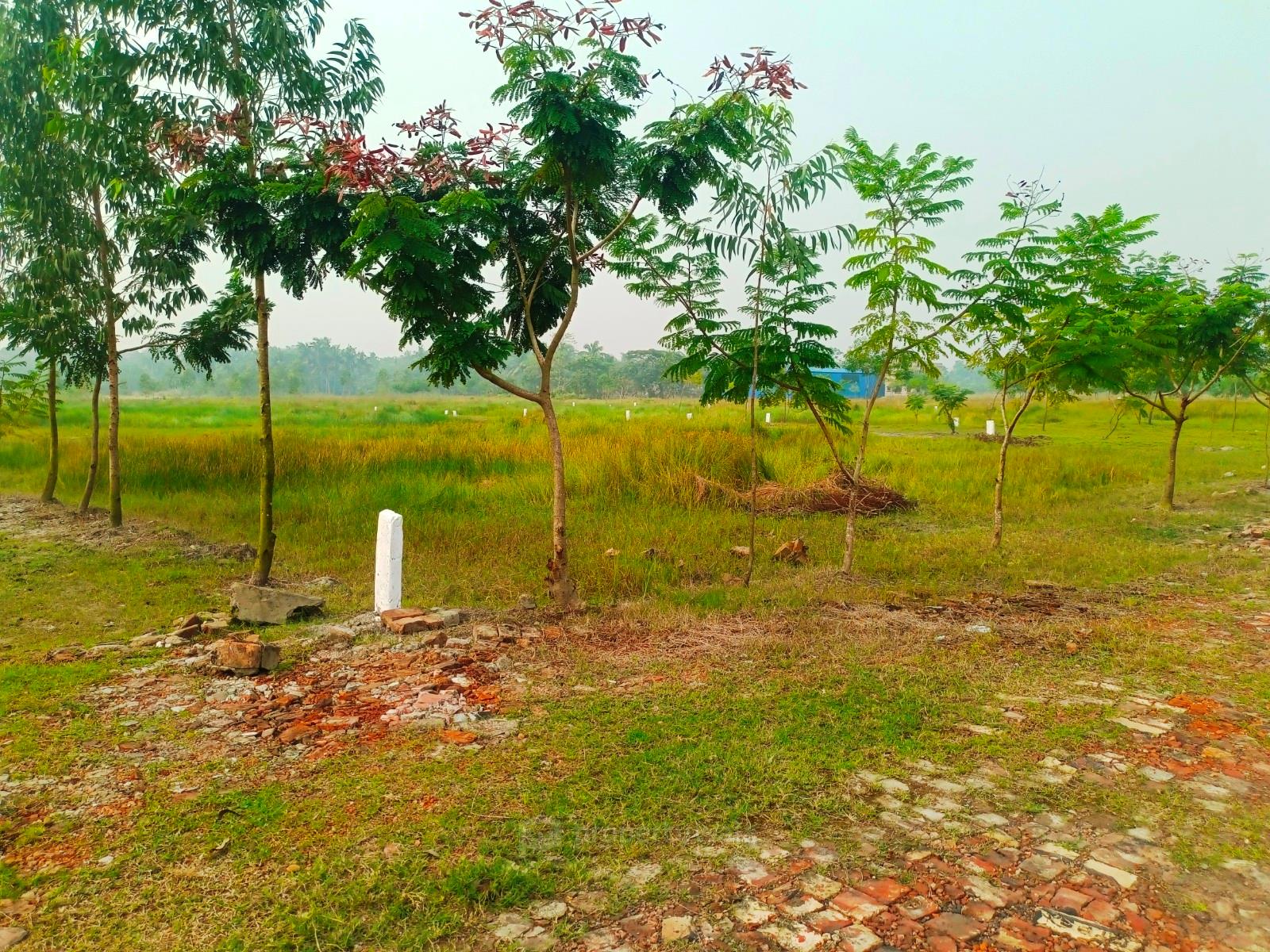 Ready To Move Plot